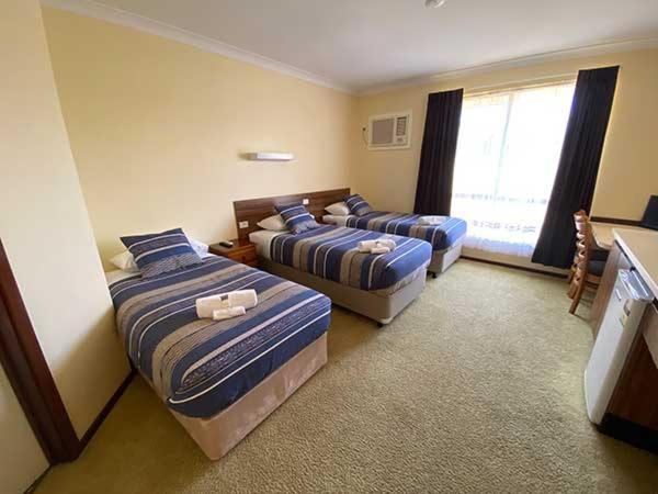 Donnybrook Motel Eksteriør bilde